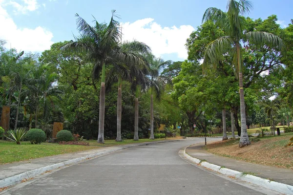 Rizal Oct Meralco Development Center Mmldc Jalur Dengan Pohon Pada — Stok Foto