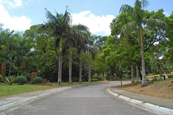 Rizal Oct Sendero Del Centro Desarrollo Meralco Mmldc Con Árboles —  Fotos de Stock