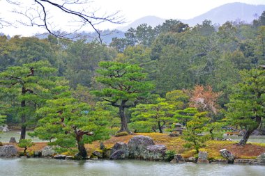 Kyoto, JP-APR. 10: Bonsai kreasyonları 10 Nisan 2017 'de Japonya' nın Kyoto şehrinde Kinkakuji altın tapınağında yapıldı. Kinkakuji 'nin resmi adı Rokuonji, Japonya' nın Kyoto şehrinde bulunan bir Budist tapınağıdır..