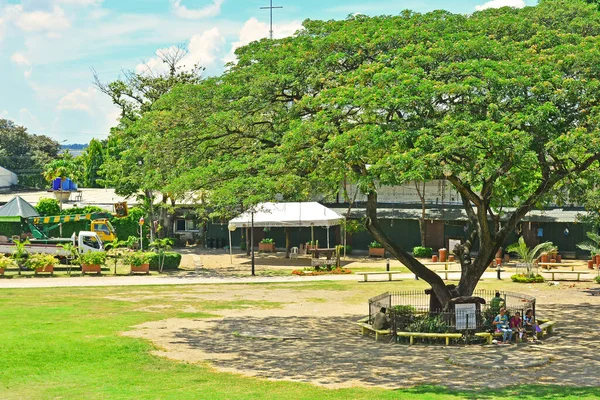 Cebu Haziran Fort San Pedro Açıkhava Parkı Haziran 2017 Cebu — Stok fotoğraf