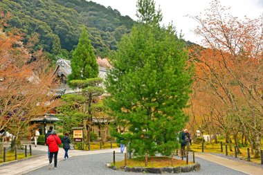 KYOTO, JP - 10 Nisan - Eikando Zenrinji ağaçları 10 Nisan 2017 tarihinde Kyoto, Japonya 'da. Zenrinji Tapınağı olarak bilinen Eikando, Japon Budizmi 'nin Jodo mezhebine mensuptur..