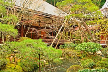 KYOTO, JP - 10 Nisan - Eikando Zenrinji ağaçları 10 Nisan 2017 tarihinde Kyoto, Japonya 'da. Zenrinji Tapınağı olarak bilinen Eikando, Japon Budizmi 'nin Jodo mezhebine mensuptur..