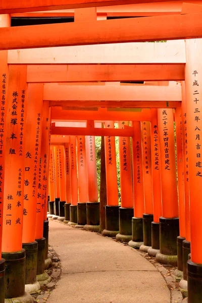 Kyoto Abril Santuário Fushimi Inari Taisha Portão Japonês Torii Abril — Fotografia de Stock