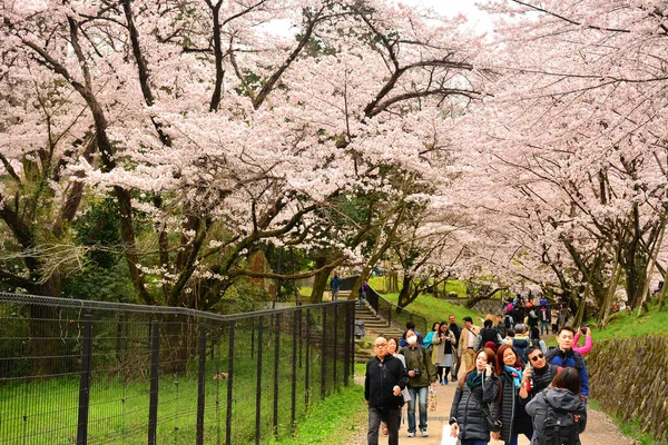 Kyoto Aprile Persone Che Camminano Sul Marciapiede Della Strada Giapponese — Foto Stock