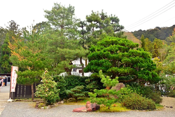 Kyoto April Nanzenji Temple Bonsai Tree Квітня 2017 Року Кіото — стокове фото