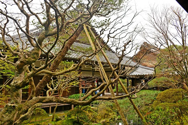 Kyoto Abril Eikando Zenrinji Trees April 2017 Kyoto Japan Eikando —  Fotos de Stock