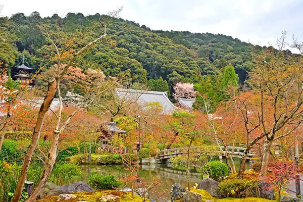 Kyoto Dubna 2017 Japonském Kjótu Jezero Eikando Zenrinji Eikando Formálně — Stock fotografie