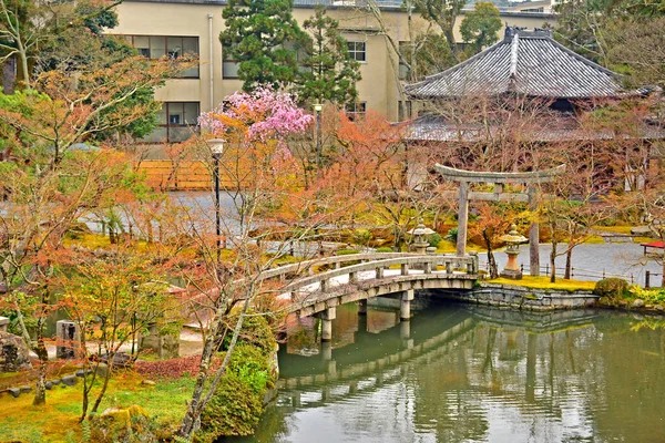 Kyoto April Озеро Ейкандо Зенрінджі Квітня 2017 Року Кіото Японія — стокове фото