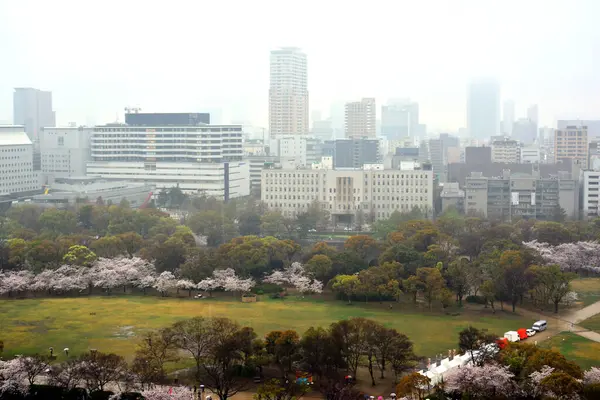 エイプリル8 2017年4月8日昼間の大阪市の概要 — ストック写真