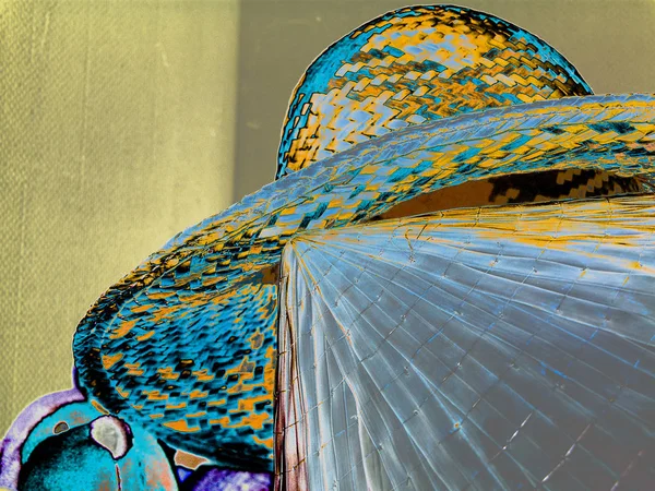 Kuru samandan örülmüş farklı etnik şapkalar. Soyut varyasyon. Renk oyunu. Dar odak.