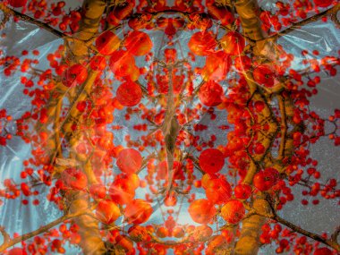 Farklı katmanlı soyut kolaj, yabani elma ağacının dallarının çeşitli küçük enkazlarla süslenmiş resimlerini içeriyor. Beyaz dengesi dengelendi. Dar odak.