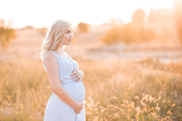 Pregnant Woman Year Old Wearing Elegant Denim Dress Standing Meadow — 图库照片