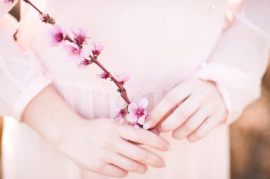 Girl holding blooming peach branch closeup. Spring season. 