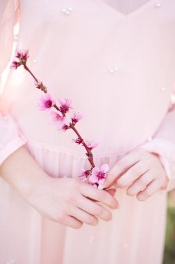 Peach flowers in girl hands wearing pink dress. Spring time. 