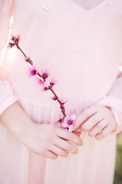 Pfirsichblüten Mädchenhänden Rosa Kleid Frühlingszeit — Stockfoto