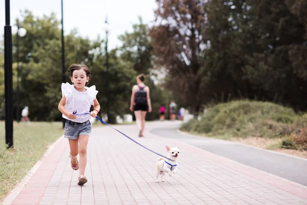 Funny Baby Girl Year Old Runnung Pet Dog Park Looking — 图库照片