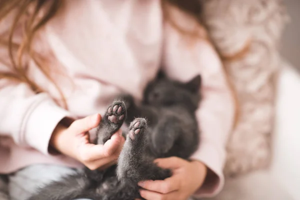 子猫の足を近くに持っている女の子 — ストック写真