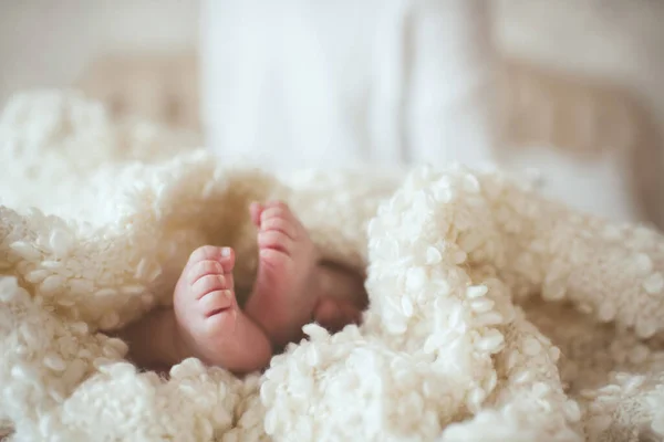 Baby Feet Closeup Wrapped Warm Cozy Fluffy Blanket Bed Motherhood — Stock Photo, Image