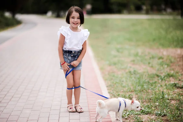 Smiling Baby Girl Year Old Walking Chihuahua Pet Park Looking — Stock Photo, Image