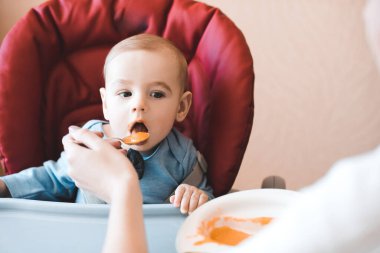 Bebek 1 yaşında, mutfakta sandalyede oturmuş elma püresi yiyor. Anne karnını doyuruyor. Çocukluk. 