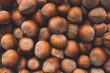 Soyulmamış fındık yığını yakın plan. Sonbahar mevsimi hasadı. Üst görünüm. 