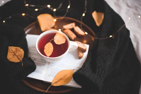 Cute Cup Tea Fallen Leaves Open Book Closeup Glowing Lights — Stock Photo, Image