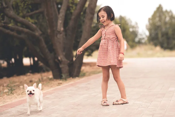 Garota Engraçada Ano Brincando Com Cão Parque Vestindo Vestido Elegante — Fotografia de Stock