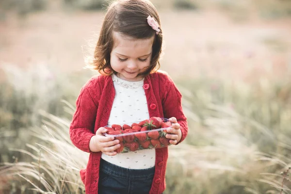かわいい赤ちゃんの女の子2 3歳の牧草地に立って新鮮なイチゴの保持ボックスは 屋外でニット赤いセーターを閉じて身に着けています 選択的フォーカス 子供の頃 夏時間 — ストック写真