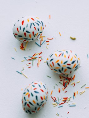 Paskalya yumurtası. Minimalist el boyaması. Yumurta fotoğrafı. Bahar havası. Minimalist el boyaması. Paskalya fotoğrafı. Paskalya. Dekor yumurtaları. Evinin stili. Dekordaki parlak aksanlar. Fırça çizimleri ve boyalar. Yumurtaların üzerinde renkli taç yaprakları.
