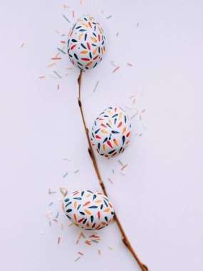 İçinde kristal vazo olan dallar. Bahar kiraz çiçekleri. Beyaz çiçekler. Paskalya yumurtaları arka planda. Paskalya. Bahar havası. Dini bayram