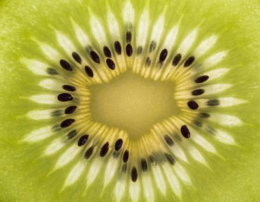 Beyaz zemin üzerine dilimlenmiş kivi