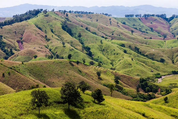 Erdőirtás termesztésével, a Kopasz-hegy Tha — Stock Fotó