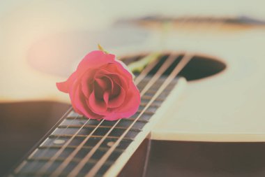 Akustik gitar ve beyaz arka plan üzerinde pembe Gül