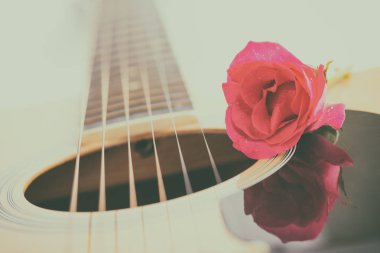 Akustik gitar ve beyaz arka plan üzerinde pembe Gül