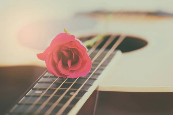Akustik gitar ve beyaz arka plan üzerinde pembe Gül
