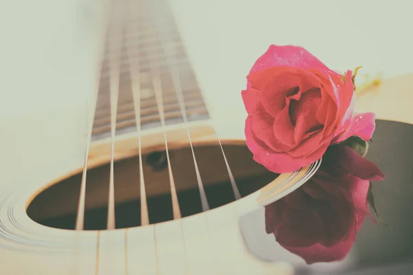 Akustik gitar ve beyaz arka plan üzerinde pembe Gül
