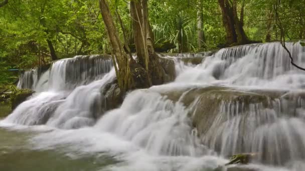Krásný vodopád v národním parku lese, Timelapse — Stock video
