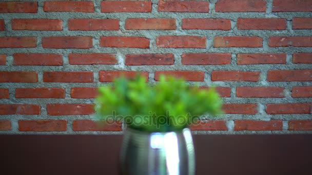 Piccolo Albero Artificiale Vaso Fiori Alluminio Con Muro Mattoni Retrò — Video Stock