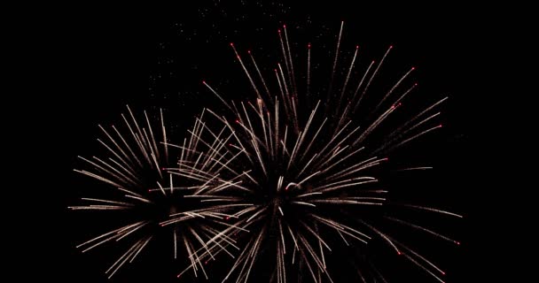 The real fireworks celebration colorful sky in the background black and the text Happy New Year 2020. — Stock Video