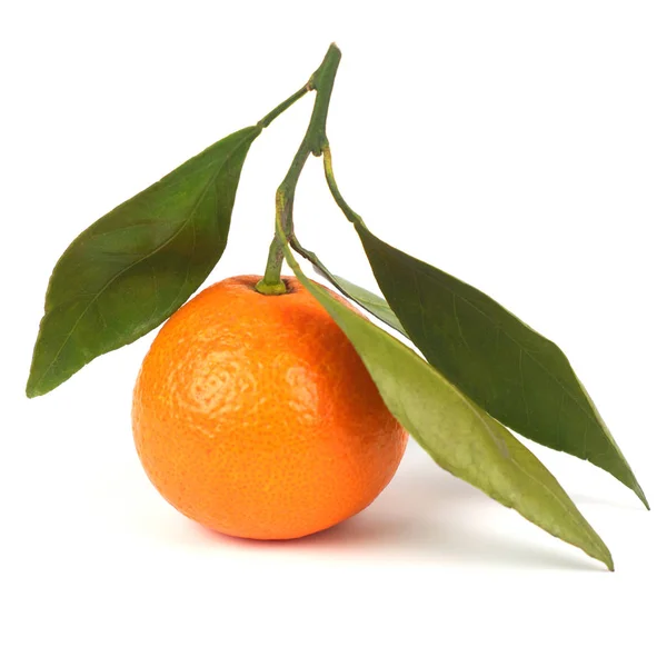 Mandarina naranja jugosa madura con hojas aisladas sobre un fondo blanco — Foto de Stock