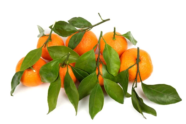 Ett gäng mogna saftiga orange tangeriner med blad isolerade på vit bakgrund. — Stockfoto