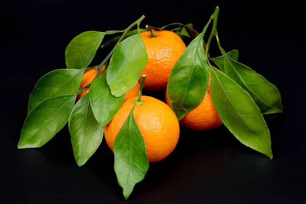 Ett gäng mogna saftiga apelsin mandariner med blad isolerade på svart bakgrund — Stockfoto