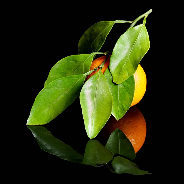 Mogen saftig apelsin mandarin med blad isolerade på en blank svart bakgrund med reflektion — Stockfoto