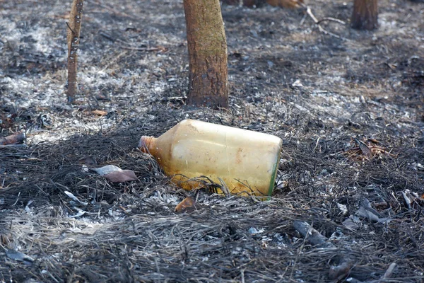 Botella Líquido Inflamable Sobre Cenizas Hierba Quemada Después Incendios Forestales — Foto de Stock