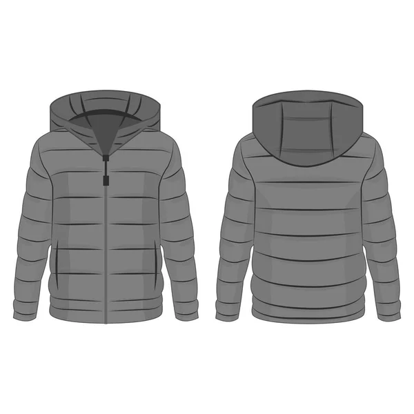 グレー冬ダウンジッパージャケットともにフード絶縁ベクトル上の白い背景 — ストックベクタ