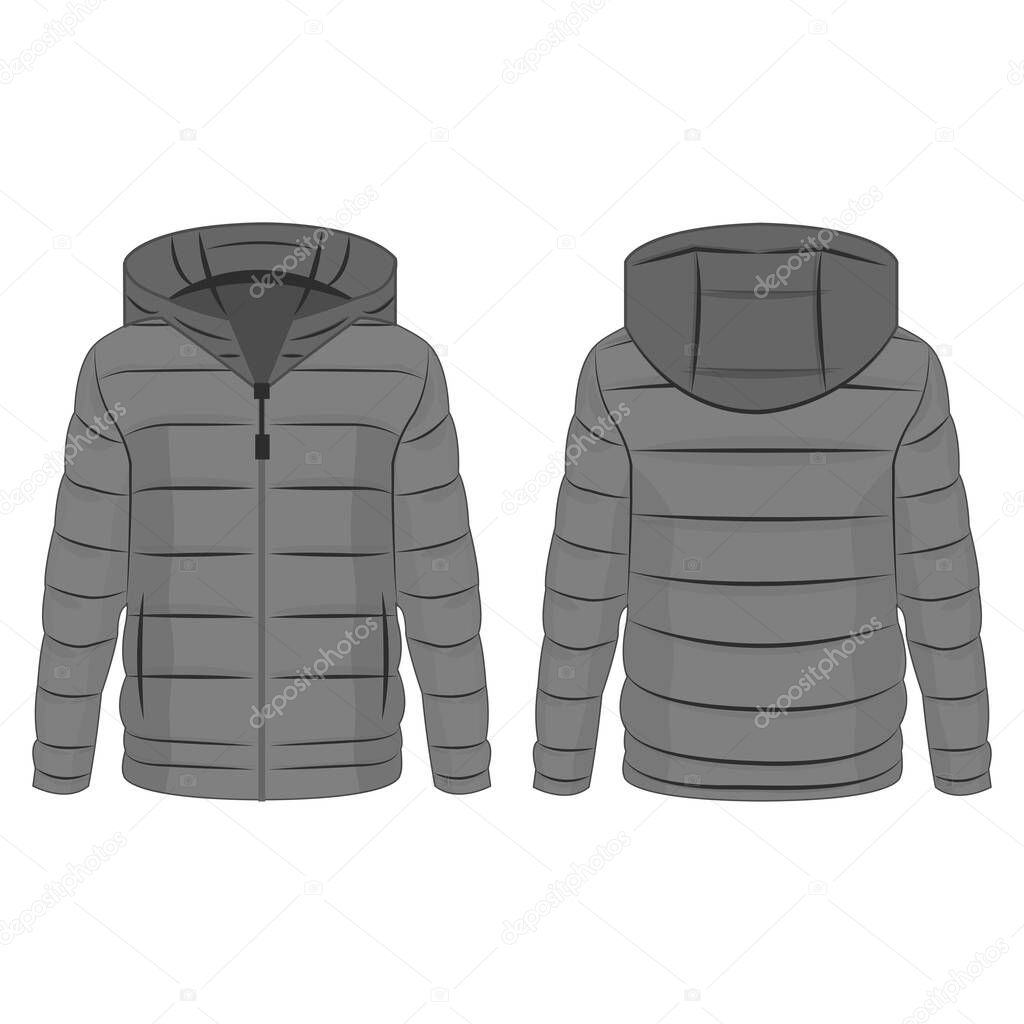Grey winter down zipped jacket with hood isolated vector on the white background