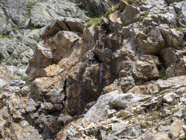 Şeffaf bir dere dağdan dik bir şekilde düşer ve taşların arasına doğru ilerler..