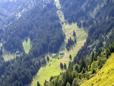 Güzel dağ ormanları köy evleri, yollar, tarlalar ve bakımlı ormanlarla dolu..
