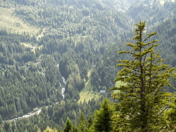 Depuis une haute montagne, vous pouvez voir une rivière forestière, de petites maisons dans la forêt. Beau paysage forestier dans les montagnes. Alpes — Photo
