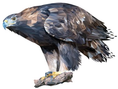Altın Kartal